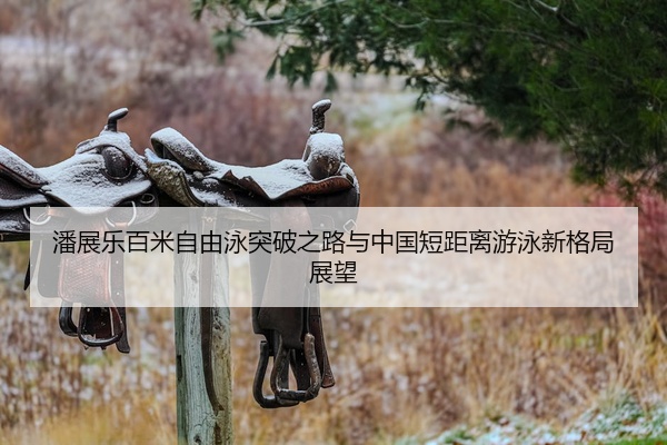 潘展乐百米自由泳突破之路与中国短距离游泳新格局展望