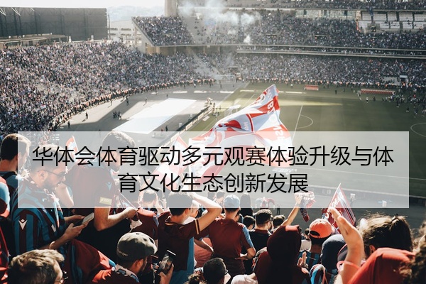华体会体育驱动多元观赛体验升级与体育文化生态创新发展
